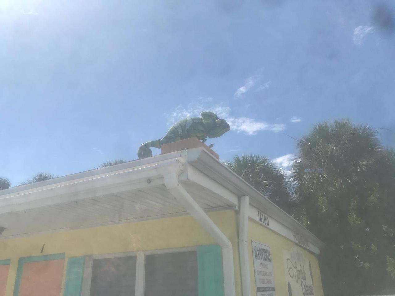 Michaels Surfside Cabanas - photo 10
