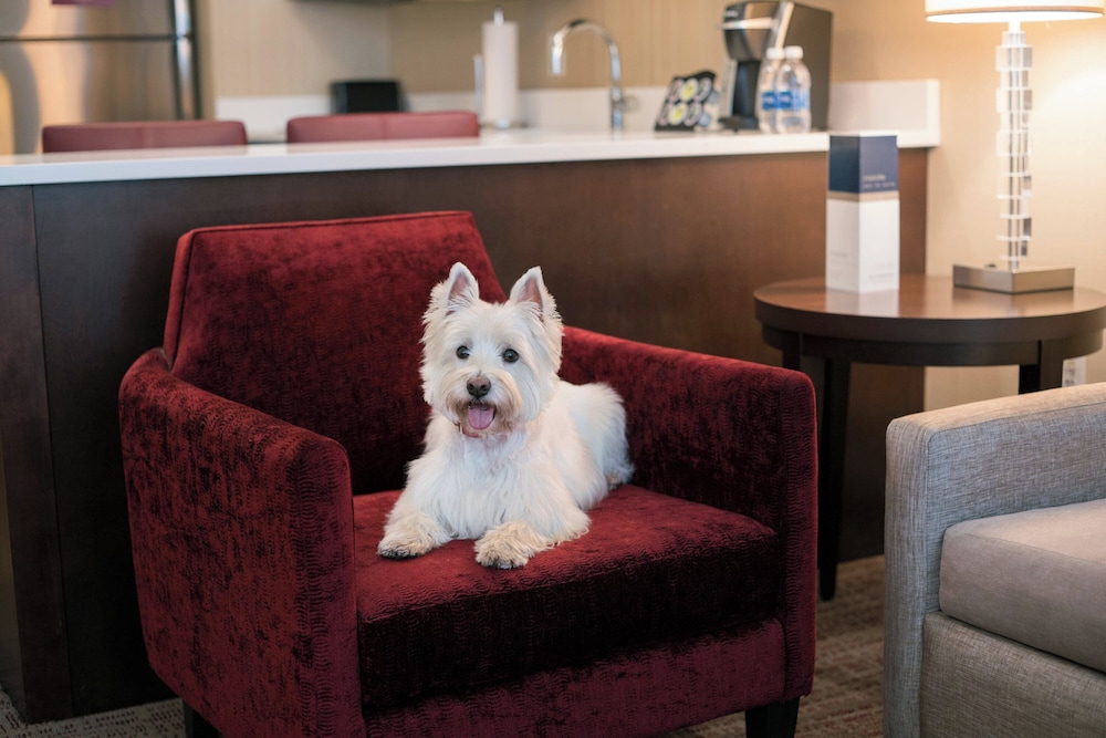 Residence Inn Chicago Downtown Loop - photo 41