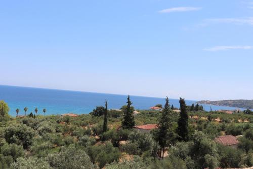 Anastassia OG — Koroni — photo 5