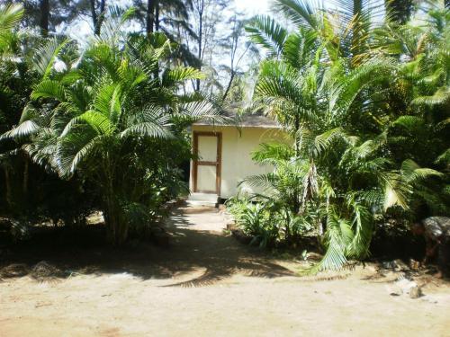 Exotica The Beach Resort in Murud, India