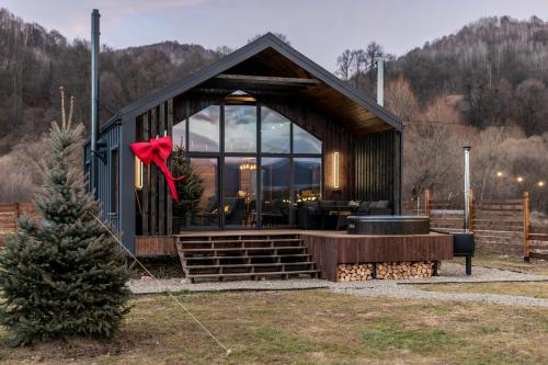 Стожари Stozhary pet-friendly hotel Verkhnie Synevydne