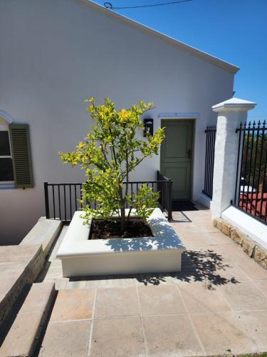 Villa Moselle St James