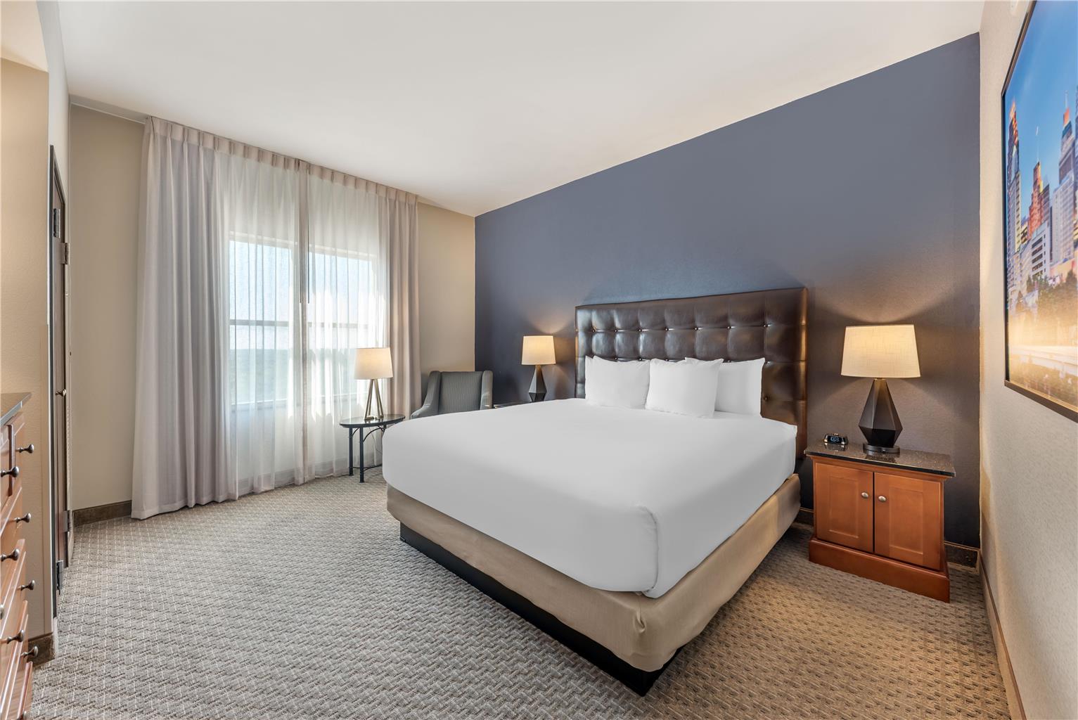 Drury Plaza Hotel San Antonio North Stone Oak - photo 16