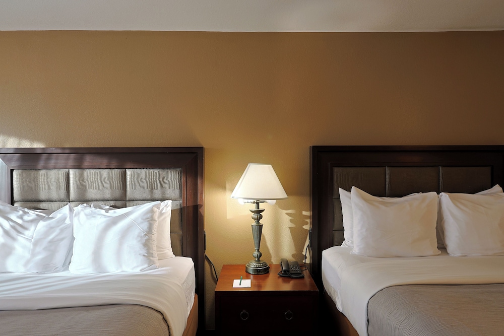 Quality Inn Kennedy Space Center - photo 23