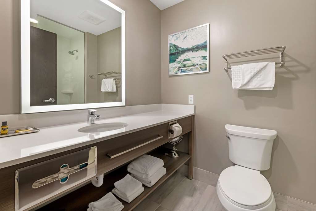 Best Western Plus Grand Rapids MN - photo 24