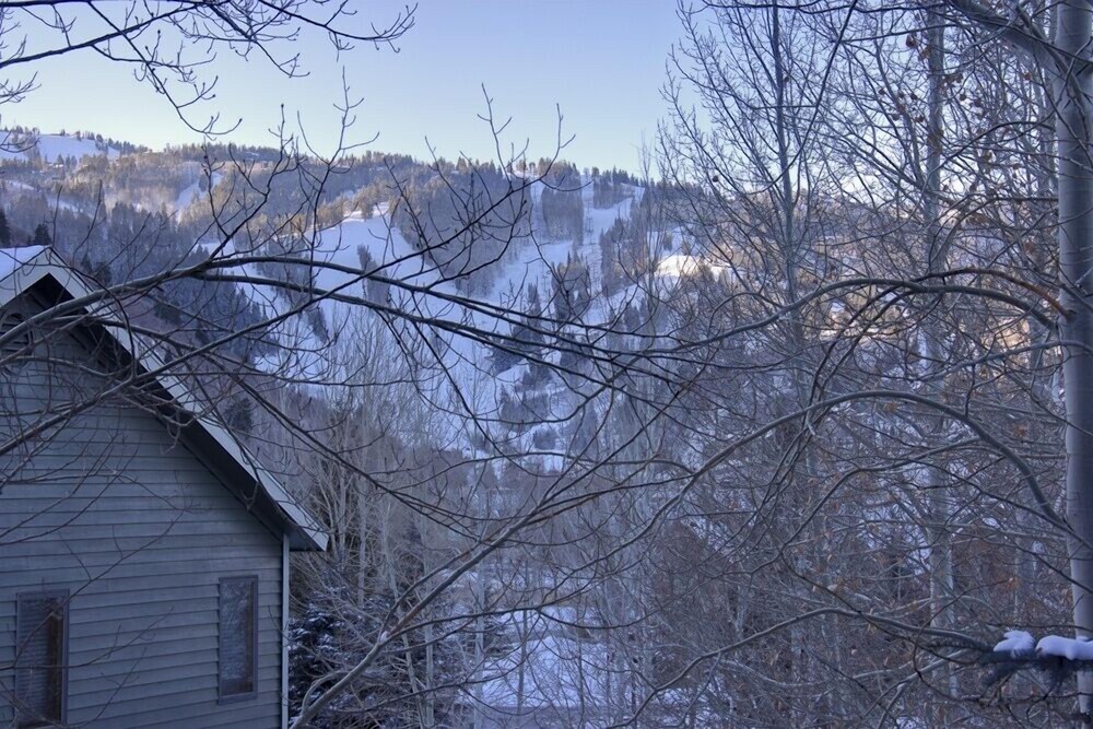 Nansen Court - photo 16