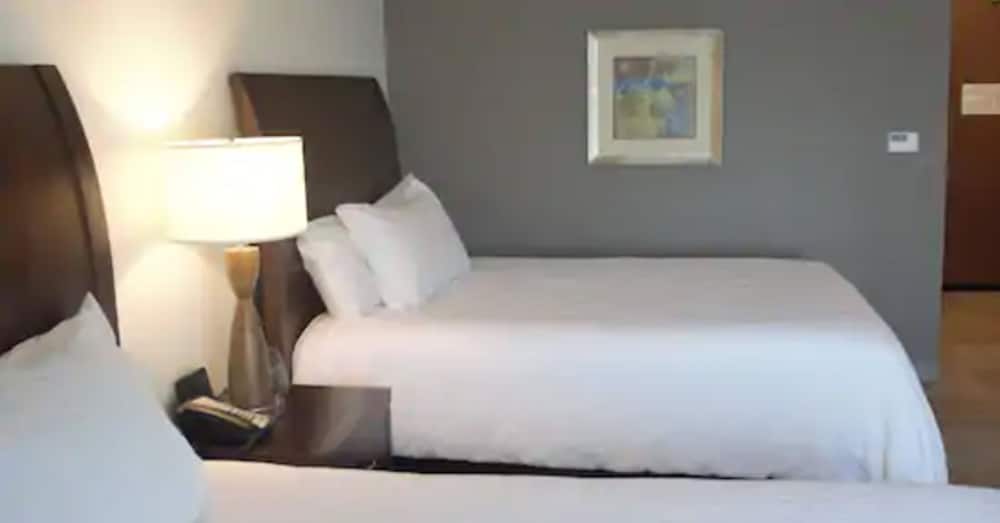 Hilton Garden Inn Warner Robins - photo 8