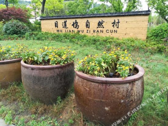 Zhuxuan Farm HOuse in Tiantai Chengguanzhen, People's Republic of China