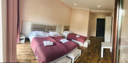 Hotel Ramaz Paliani
