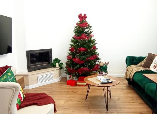 Casa de sub Nuc in Cluj-Napoca, Romania