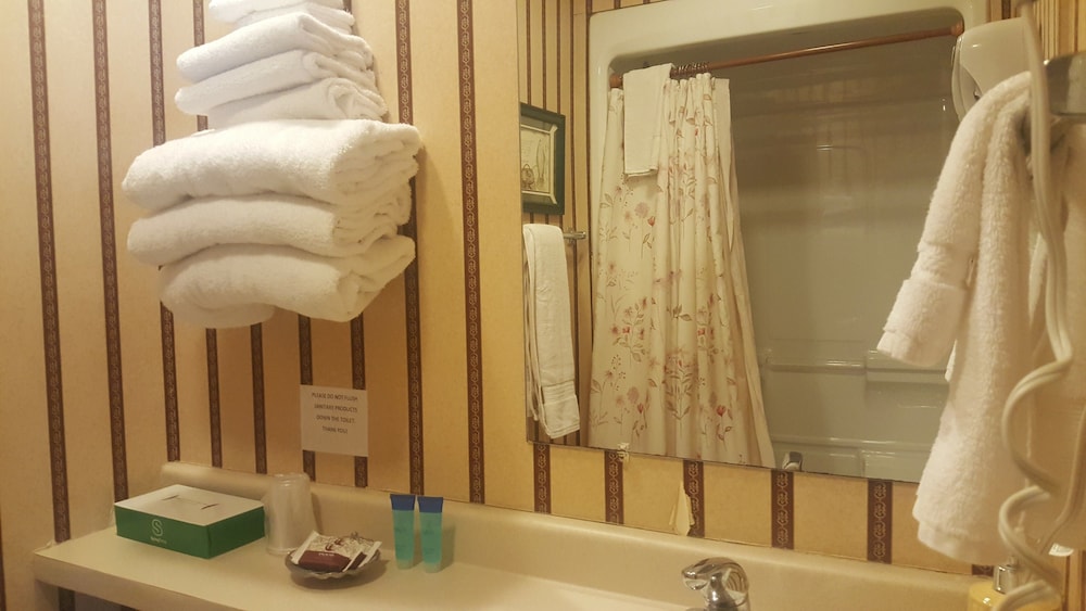 Snug Harbor Inn - photo 99
