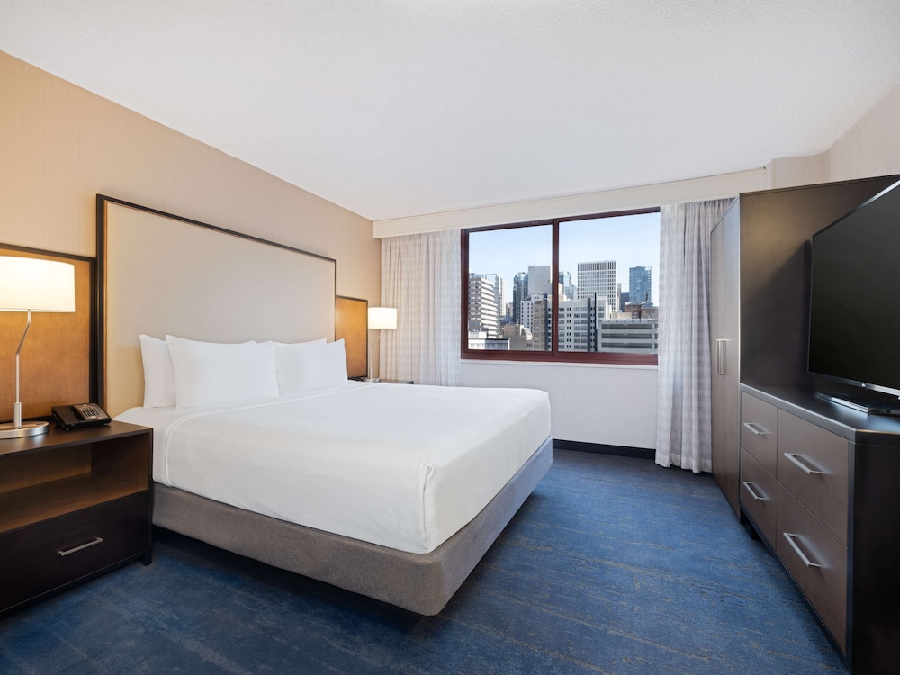 Embassy Suites by Hilton Chicago Downtown River North - photo 17