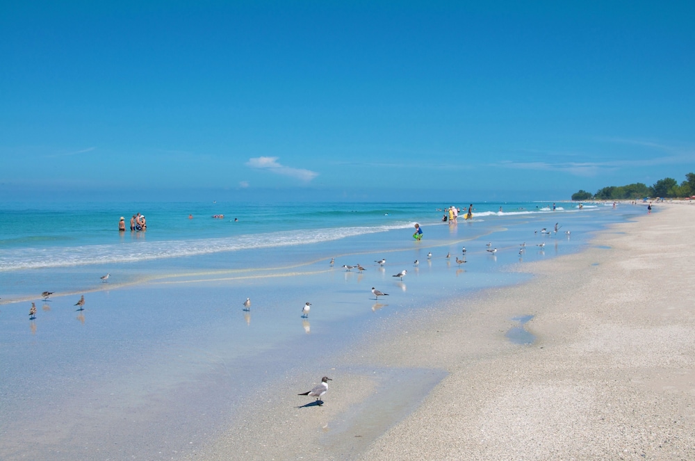 Tropic Isle Beach Resort - photo 13