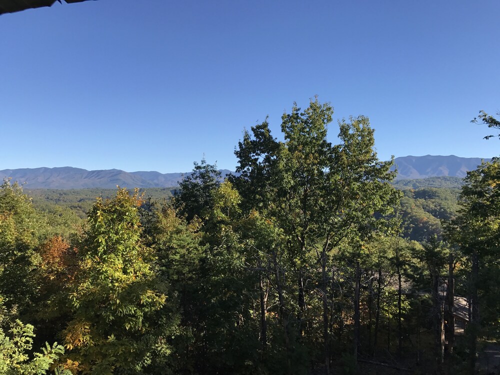 Grandpa Bear's View #233 - photo 41