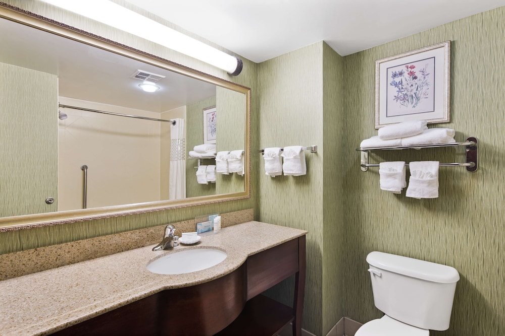 Hampton Inn Hinesville - photo 12