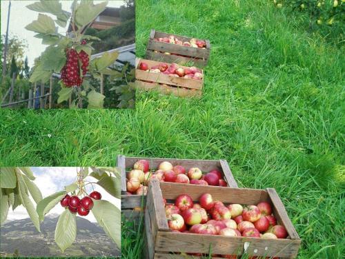 Garni Sonnleiten in Tirolo, Italy