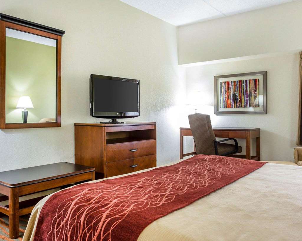 Comfort Inn Conyers - photo 10