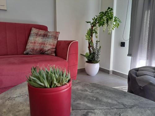 Napier's Residence — 4-Star Luxury Hotel in Argostolion, Greece