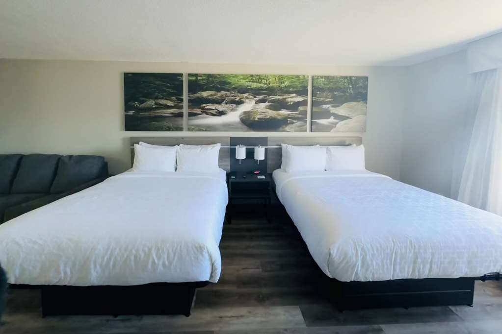 Clarion Pointe Albemarle - photo 19