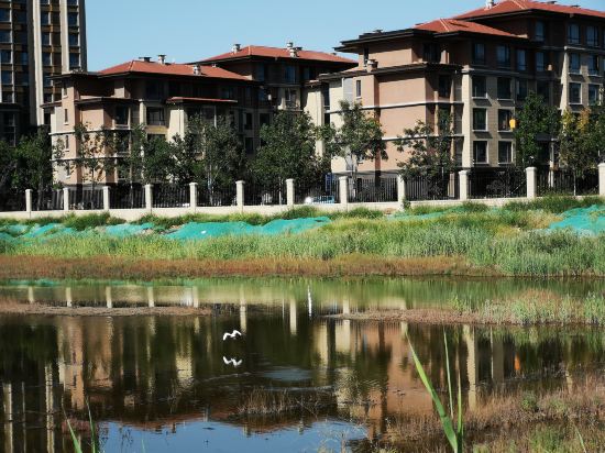 Hcgs - last minute hotel in Tianjin