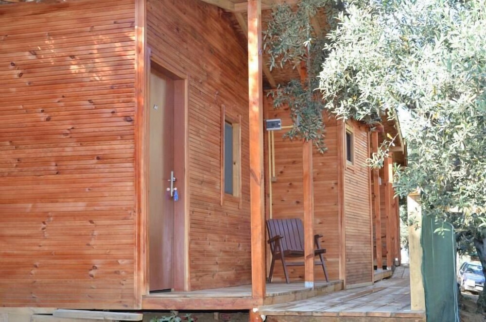 Bungolive in Cinarcik, Turkey