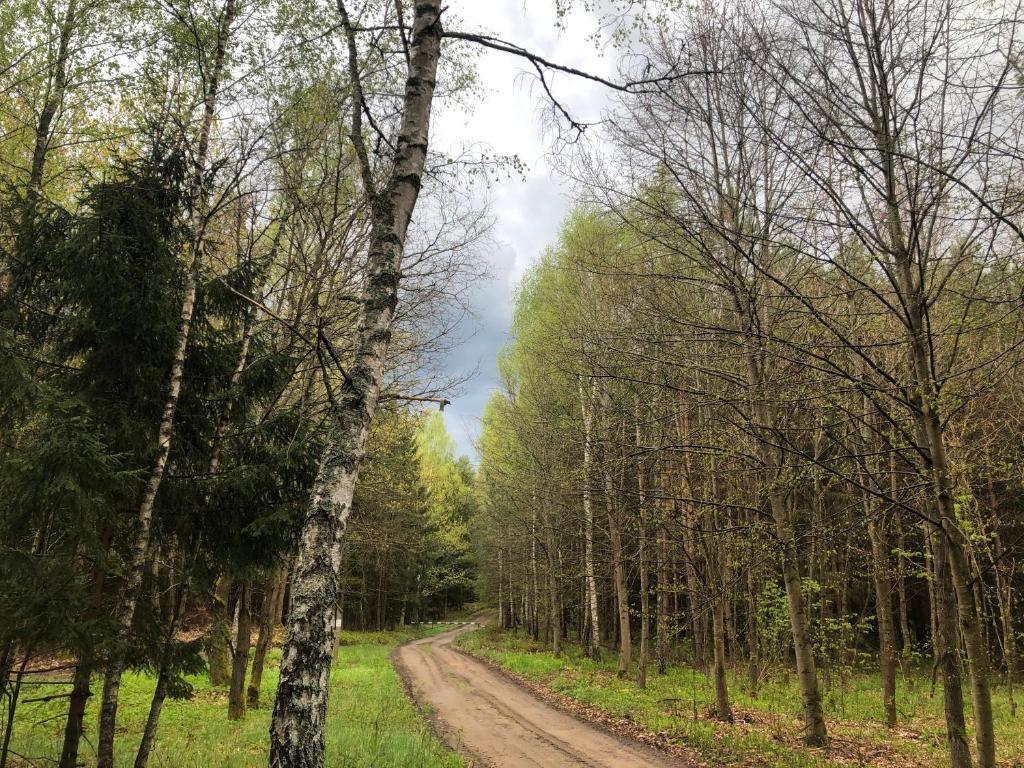 Letnisko SYMSAR 6 Drewniany domek letniskowy — hotel in Lidzbark Warminski