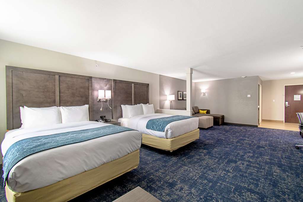 Comfort Suites Humble Houston IAH - photo 14