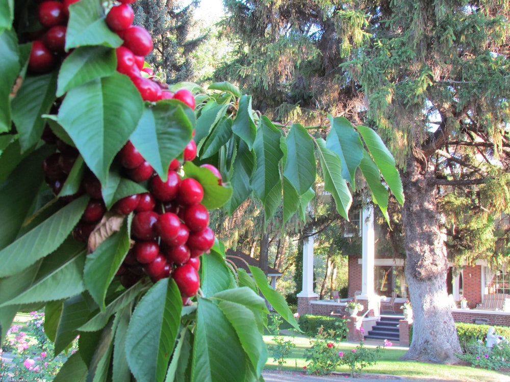 Warm Springs Inn & Winery - photo 92
