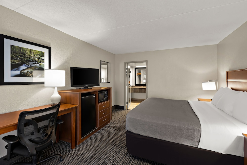 Quality Inn Dandridge - photo 13