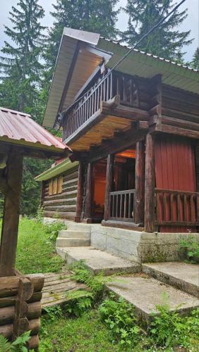 Forest Peace in Plav, Montenegro