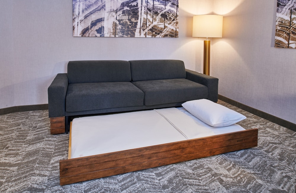 SpringHill Suites by Marriott Detroit Dearborn - photo 9