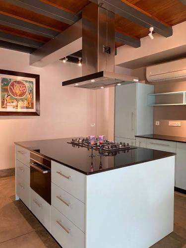 Baron's Antiquarian Villa