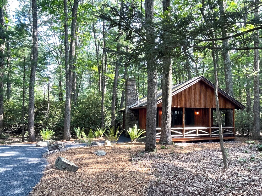 Mountain Springs Lake Resort - photo 248