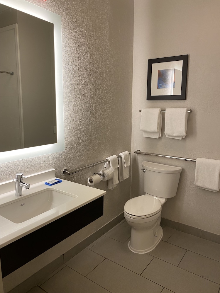Holiday Inn Express Metropolis - photo 40