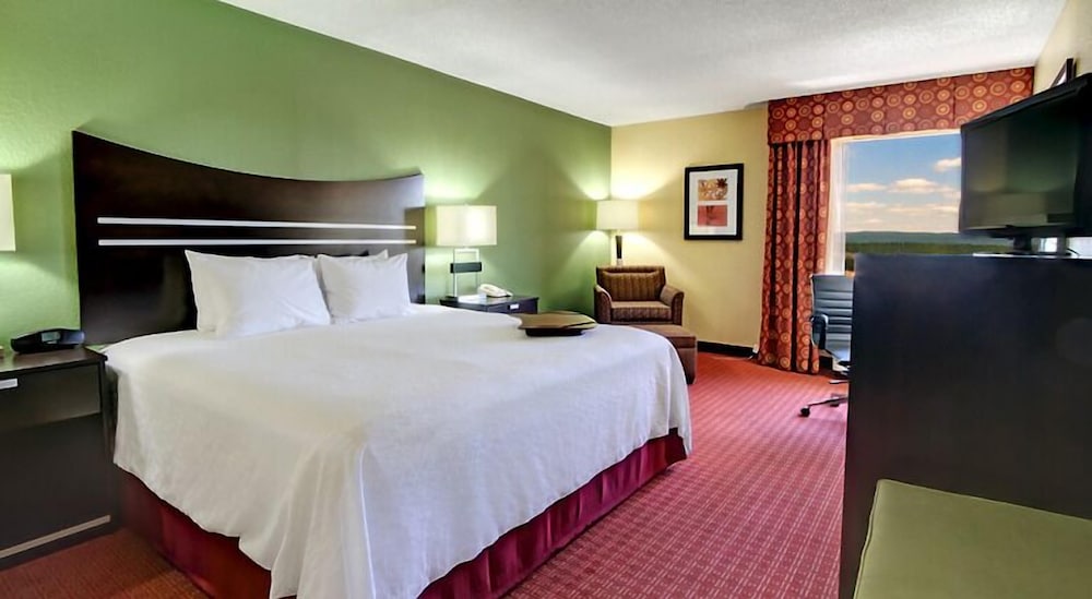 Hampton Inn Hot Springs - photo 10