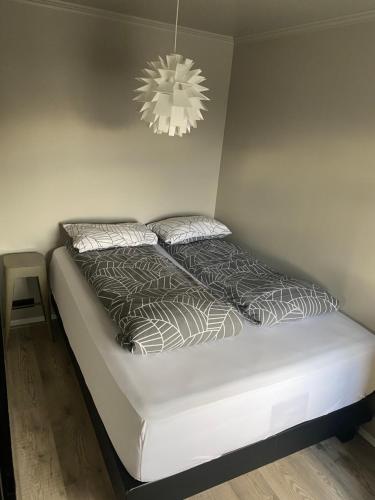 North City Center Apartments