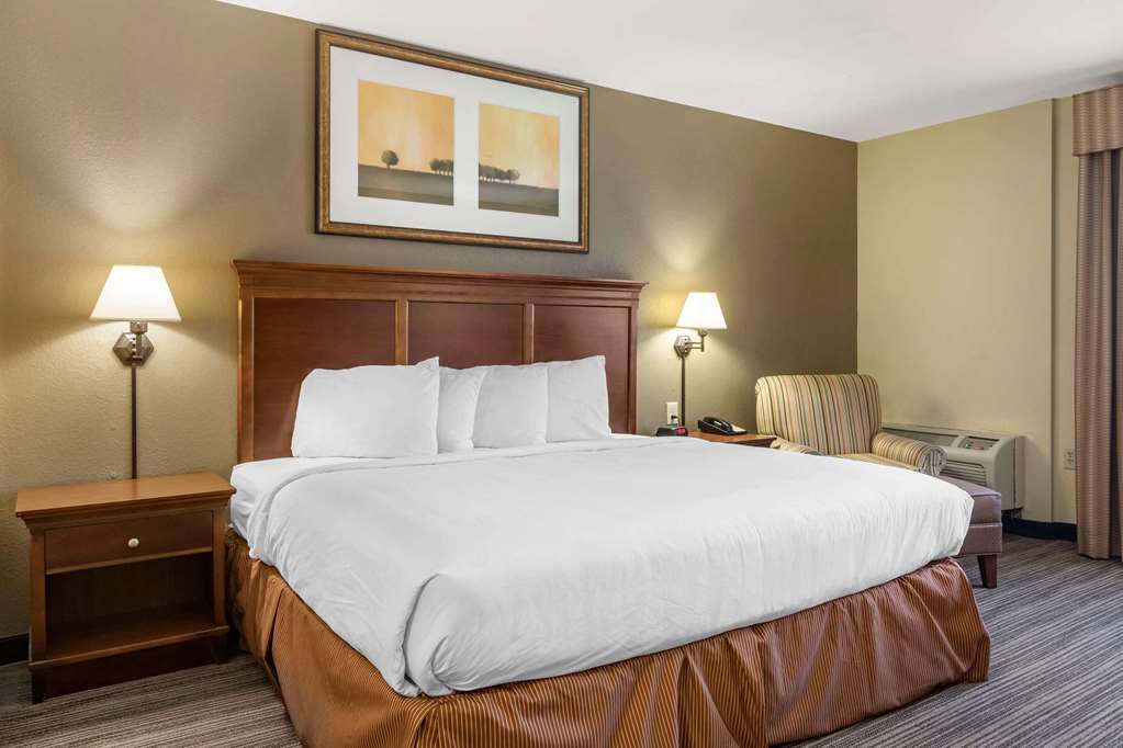 Country Inn & Suites by Radisson Atlanta Downtown - photo 8