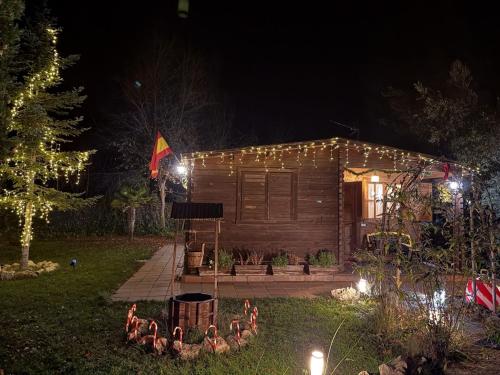 Cabana la Canica pet-friendly hotel Pareja