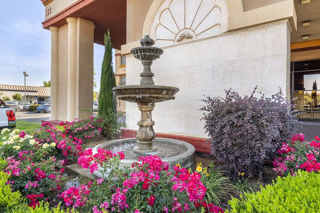 Best Western Plus Orchid Hotel & Suites - photo 12