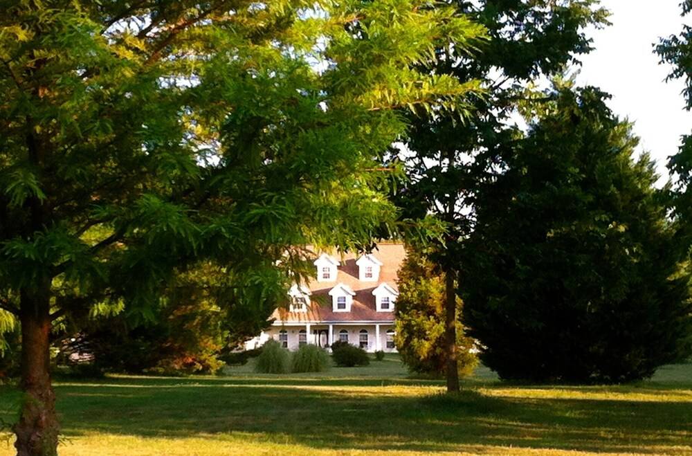 The Abbé House Inn - photo 19