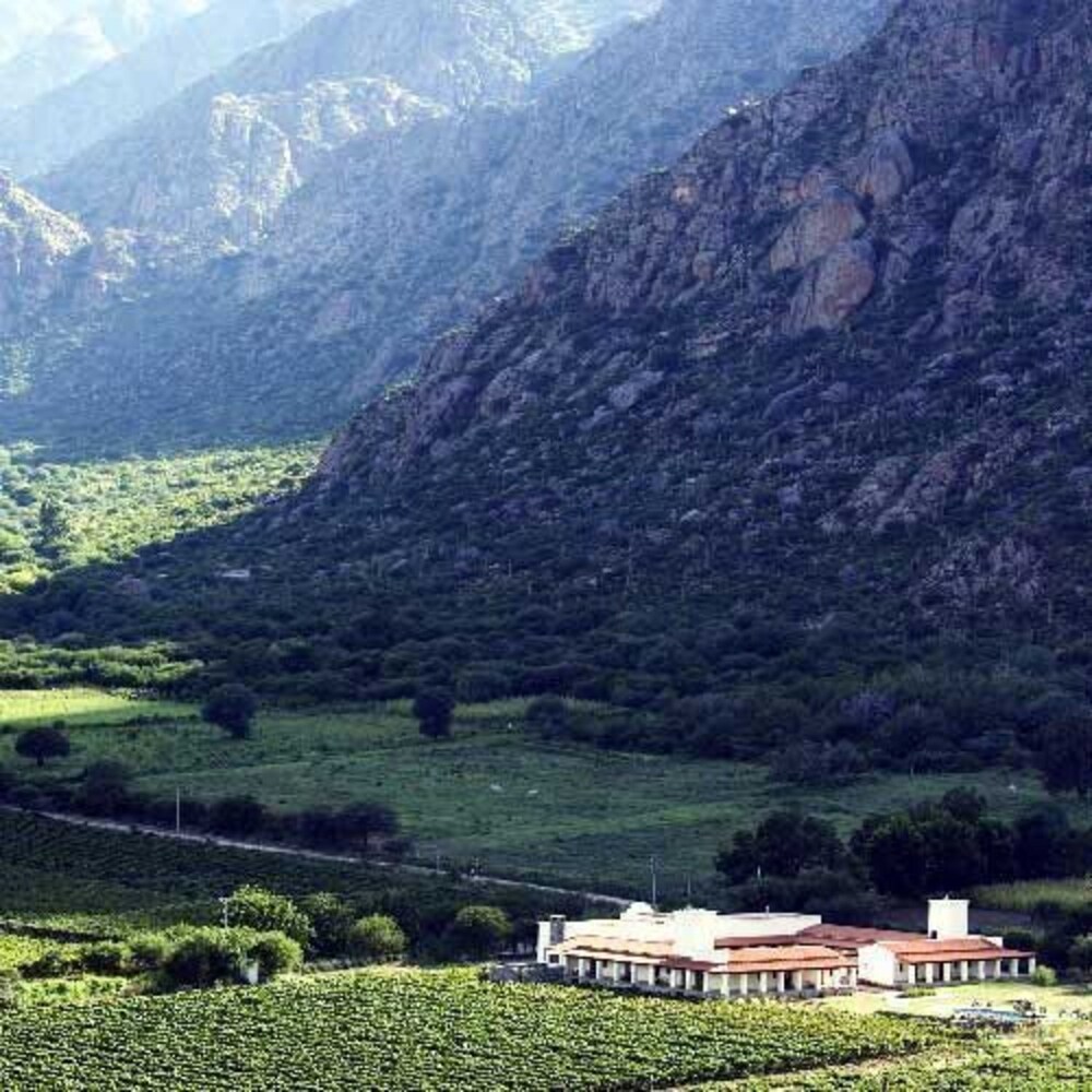 Viñas De Cafayate Wine Resort in Cafayate, Argentina