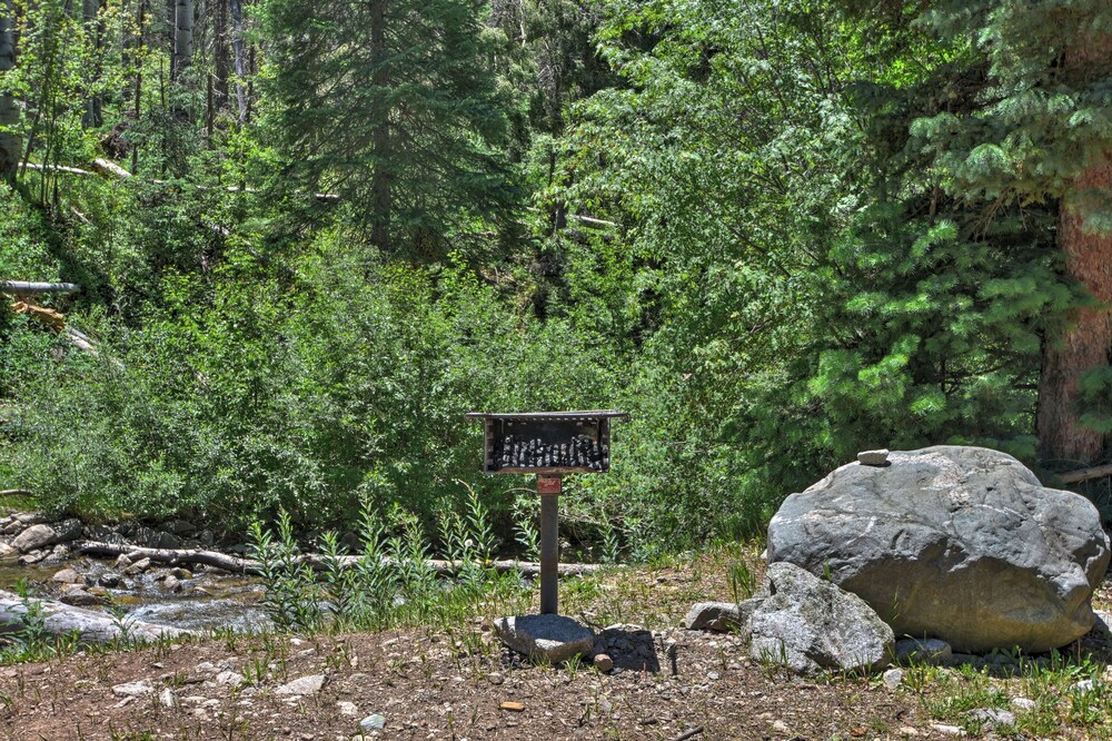 Cozy Streamside Studio 2 Mi to Taos Ski Resort - photo 13