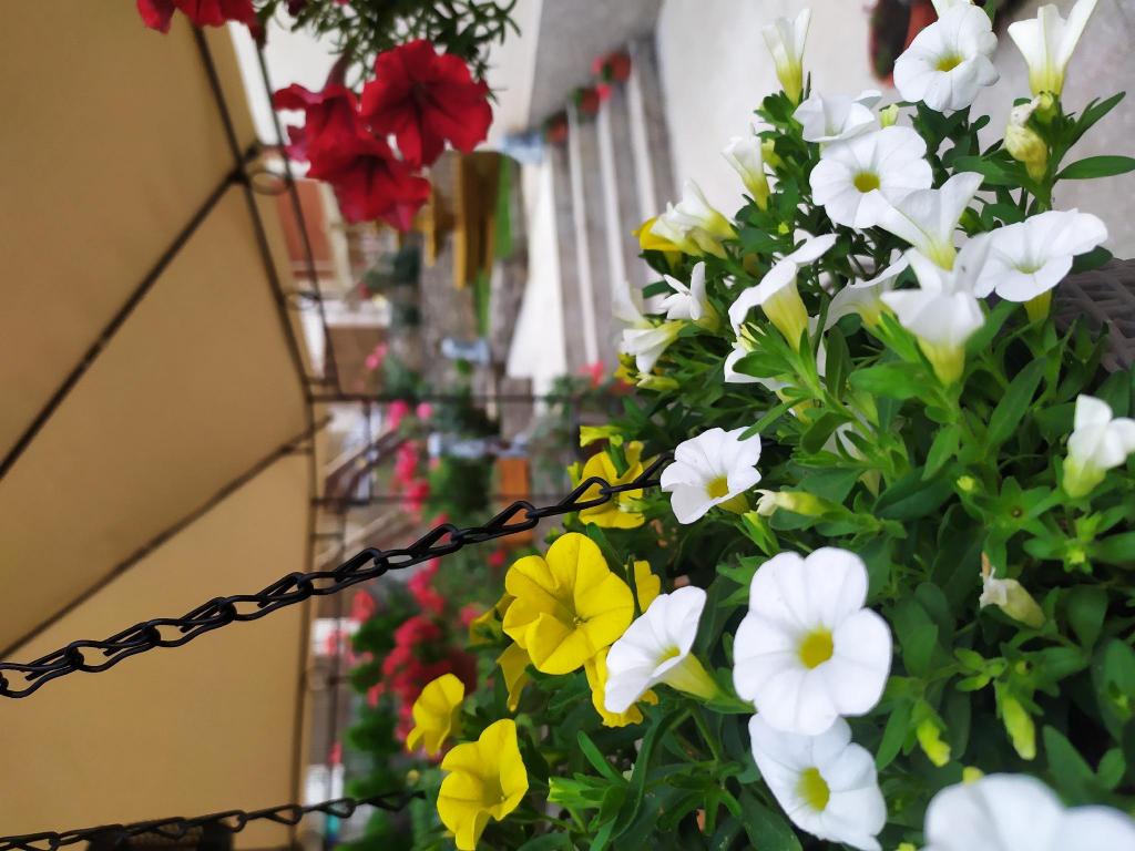 Apartment Jona — 5-Star Luxury Hotel in Nis, Serbia