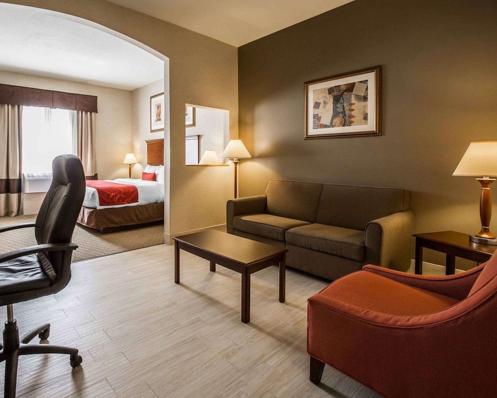 Comfort Suites Stafford Near Sugarland - photo 14