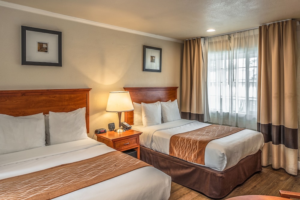 Blu Pacific Hotel - photo 33