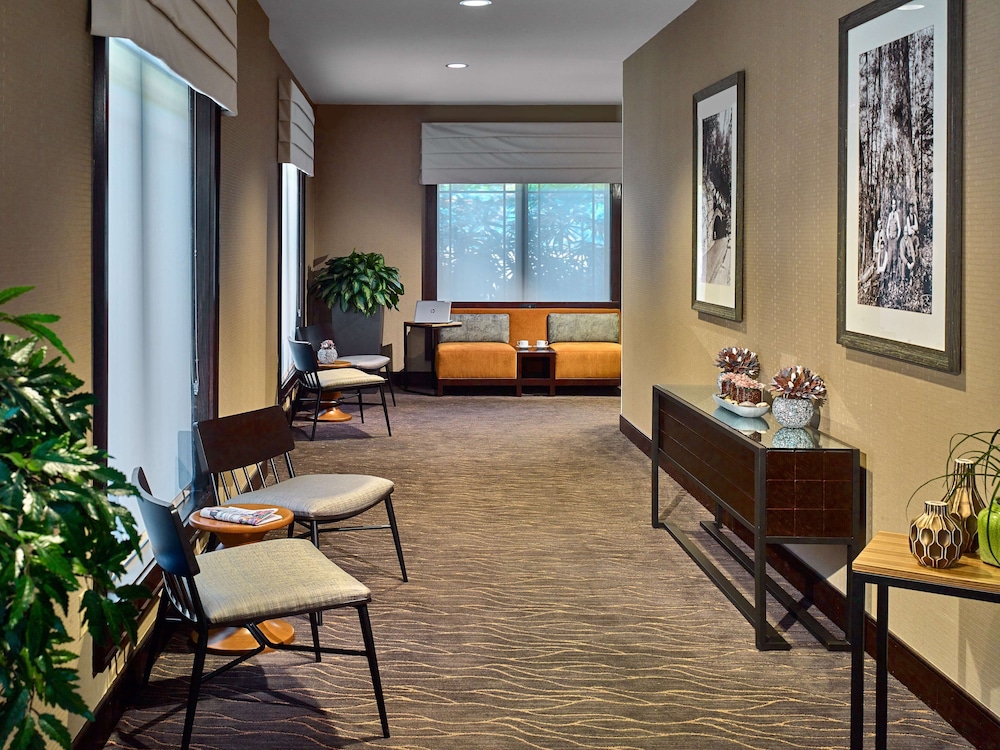 Hilton Garden Inn Gatlinburg - photo 33