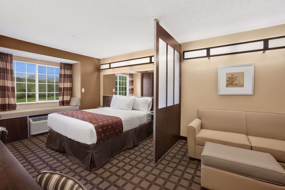 Microtel Inn And Suites Sayre PA - photo 16