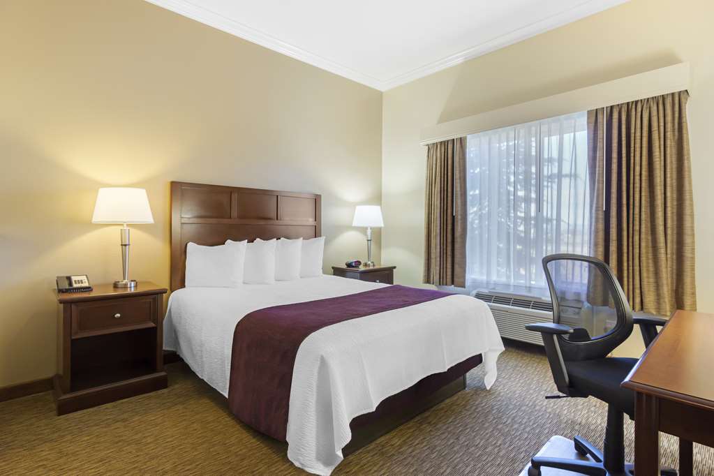Best Western Plus Grapevine Inn - photo 18