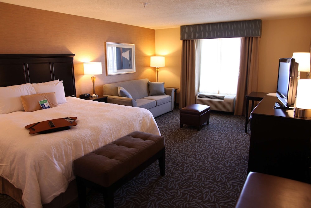 Hampton Inn & Suites Carlsbad - photo 20