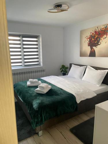 Tudor Apartament — Ocna Mures — photo 2